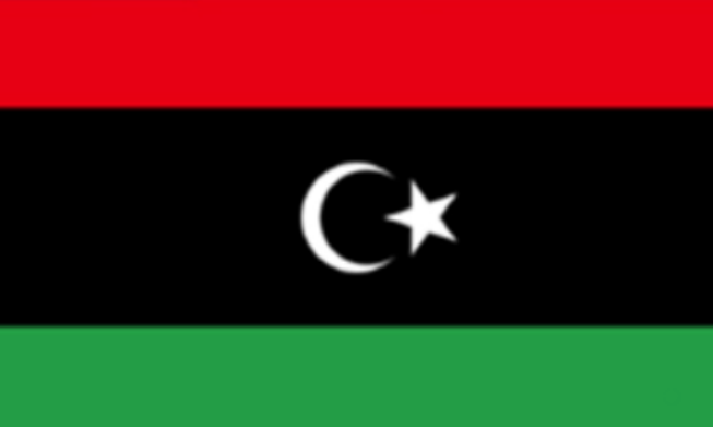 利比亚- 电子货物跟踪单CTN/ECTN ）